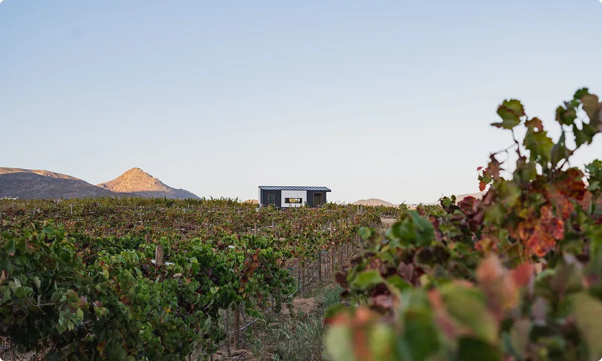 Clever Studio tiny home in vineyard setting